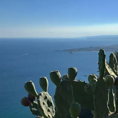 La Baia Dei Delfini *