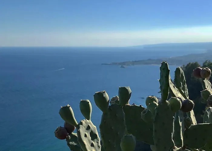 La Baia Dei Delfini *